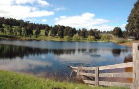 Glenlynn Cottages - New Castle Holiday 0