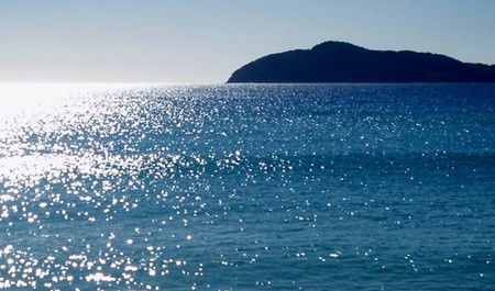 Jimmys Beach Holiday Park - New Castle Holiday 1