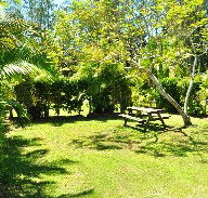 Wooli Caravan Park - New Castle Holiday