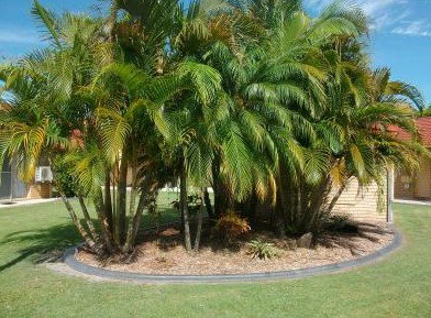 Yamba Motor Inn - New Castle Holiday 5