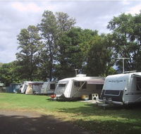 Waioma Caravan Park - New Castle Holiday