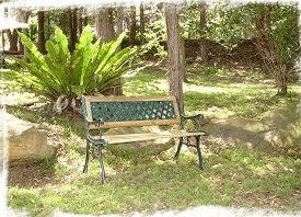 Lorikeet Cottage - New Castle Holiday 3