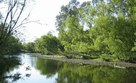 Ribbonwood Cottages - New Castle Holiday