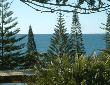 Next Seabreeze Beach Hotel - New Castle Holiday 2