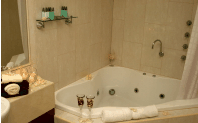 Club Motor Inn - New Castle Holiday 1