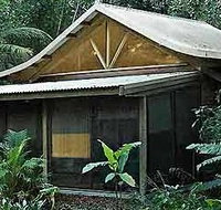 Byron Bay Rainforest Resort - New Castle Holiday