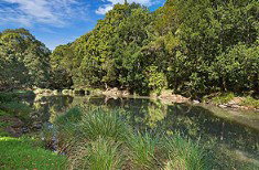 Peppers Casuarina Lodge - New Castle Holiday 4