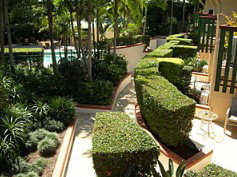 Crest Apartments Byron Bay - New Castle Holiday 3