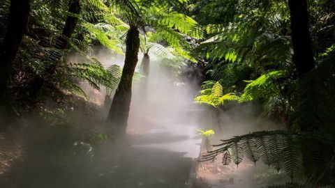 Australian National Botanic Gardens - New Castle Holiday 4