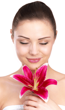 Sorbet Day Spa - New Castle Holiday 0