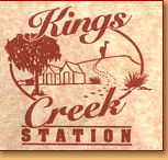 Kings Creek Station - New Castle Holiday