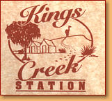 Kings Creek Station - New Castle Holiday 0