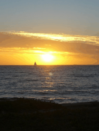 Kidogo Arthouse - New Castle Holiday 1