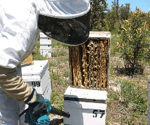 Herne Hill WA New Castle Holiday