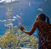 The Aquarium of Western Australia - New Castle Holiday