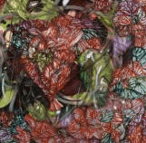 Jan Murphy Gallery - New Castle Holiday 3