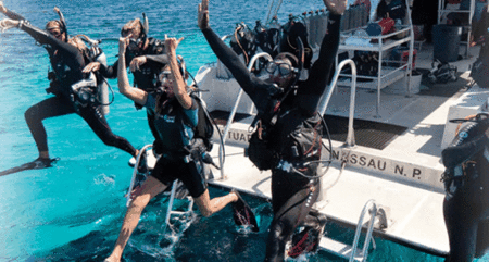 Snorkel Safari Brisbane - New Castle Holiday