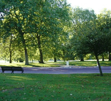Roma Street Parkland - New Castle Holiday