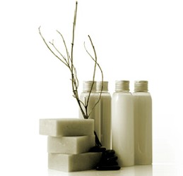 Oasis Day Spa - New Castle Holiday 0