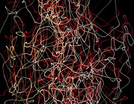 Eleven40 Gallery - New Castle Holiday 1