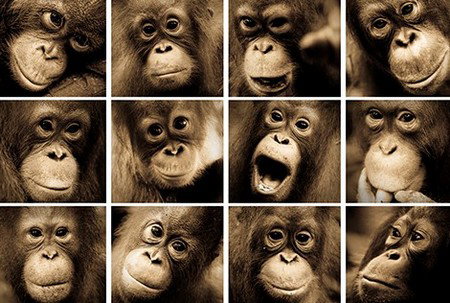 Eleven40 Gallery - New Castle Holiday 3