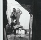 Brightspace - New Castle Holiday 3