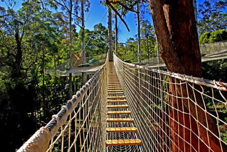 North Tamborine QLD New Castle Holiday