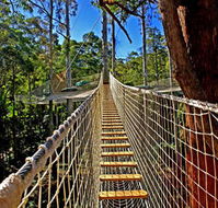 Thunderbird Park - New Castle Holiday