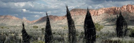 Australian Galleries - New Castle Holiday 3