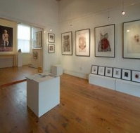 Bird's Gallery - New Castle Holiday