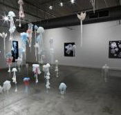 Nellie Castan Gallery - New Castle Holiday