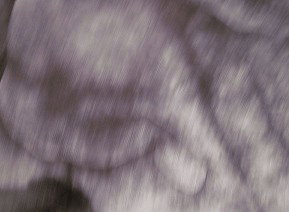 69 Smith Street - New Castle Holiday 1