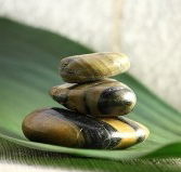 The Nature of Balance - New Castle Holiday