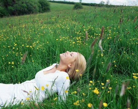 ANEW YOU Mind - Body Solutions - New Castle Holiday 0