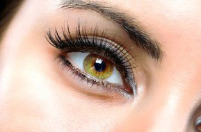 Beauty On Ryrie - New Castle Holiday 1