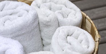 Masque Day Spa - New Castle Holiday 1