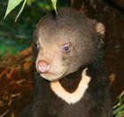 South Perth WA New Castle Holiday