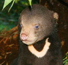 Perth Zoo - New Castle Holiday