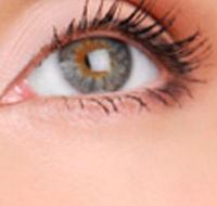 Cinnamon Stix Hair  Day Spa - New Castle Holiday
