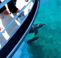 Pelican Charters - New Castle Holiday