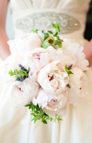 Karralyka Centre - New Castle Holiday 3