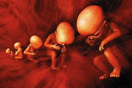 Winterfall Theatre Company - New Castle Holiday 1