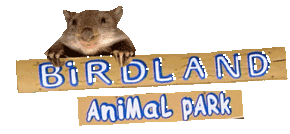Birdland Animal Park - New Castle Holiday