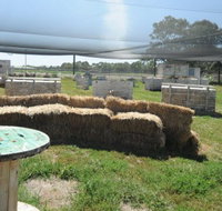 We Are Paintball - New Castle Holiday