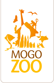 Mogo Zoo - New Castle Holiday