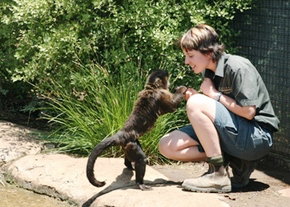 National Zoo & Aquarium - New Castle Holiday 1