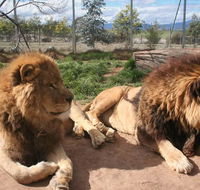 Mansfield Zoo - New Castle Holiday