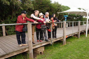 Phillip Island Penguin Parade - New Castle Holiday 1
