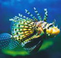 Underwater World - New Castle Holiday