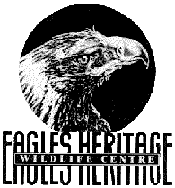 Eagles Heritage - New Castle Holiday